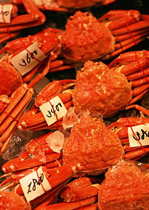 【2026年最新版】銀座のキャバクラ徹底ガイド｜選び方と楽しみ方のポイント